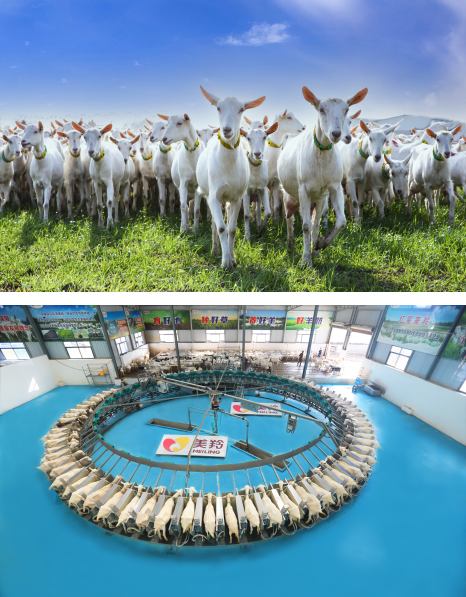 中国·7790必发集团(股份)有限公司-官方网站