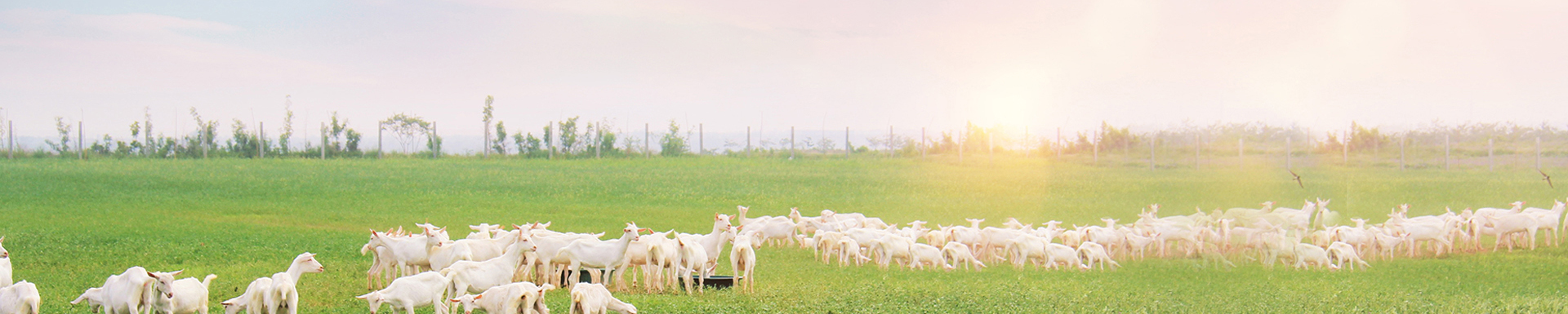 中国·7790必发集团(股份)有限公司-官方网站