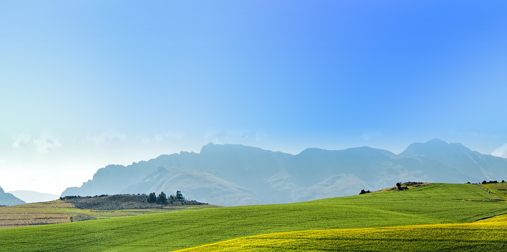 中国·7790必发集团(股份)有限公司-官方网站