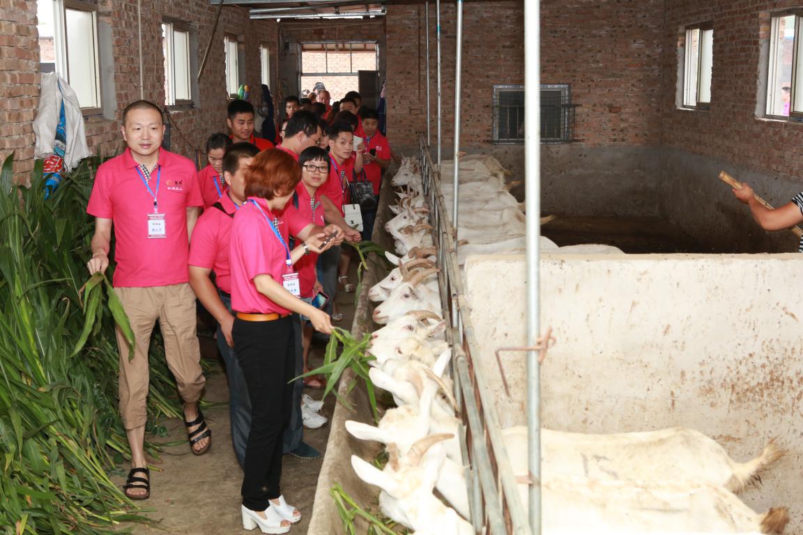 中国·7790必发集团(股份)有限公司-官方网站