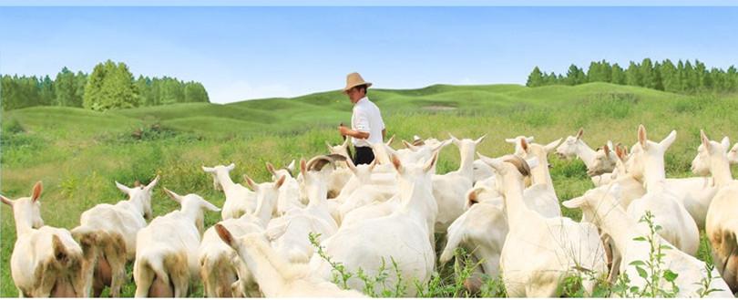 中国·7790必发集团(股份)有限公司-官方网站