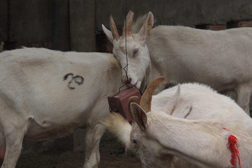 中国·7790必发集团(股份)有限公司-官方网站