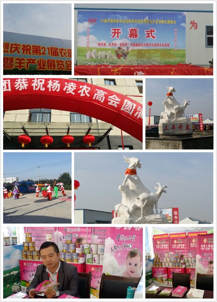 中国·7790必发集团(股份)有限公司-官方网站