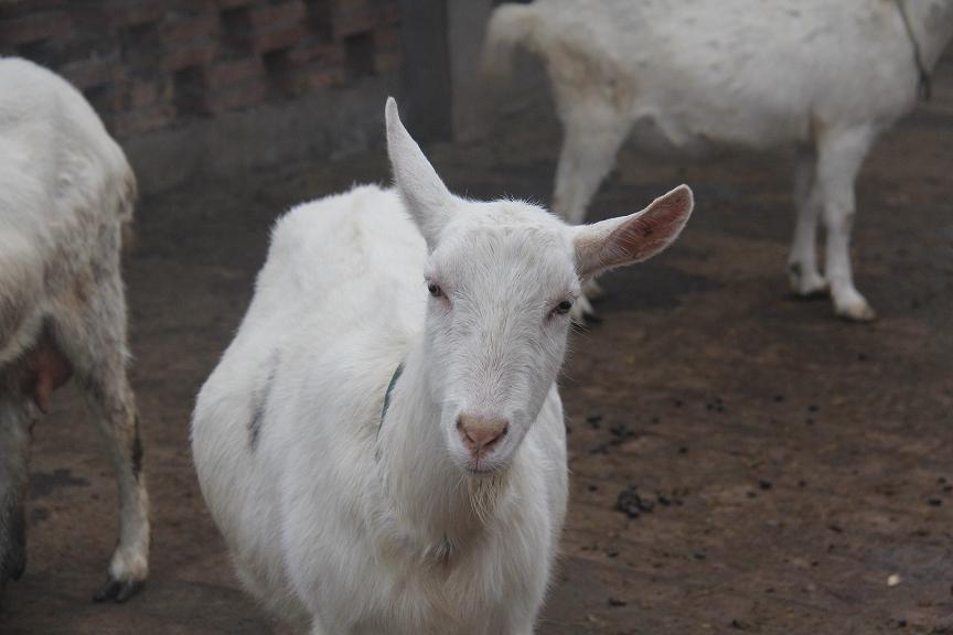 中国·7790必发集团(股份)有限公司-官方网站