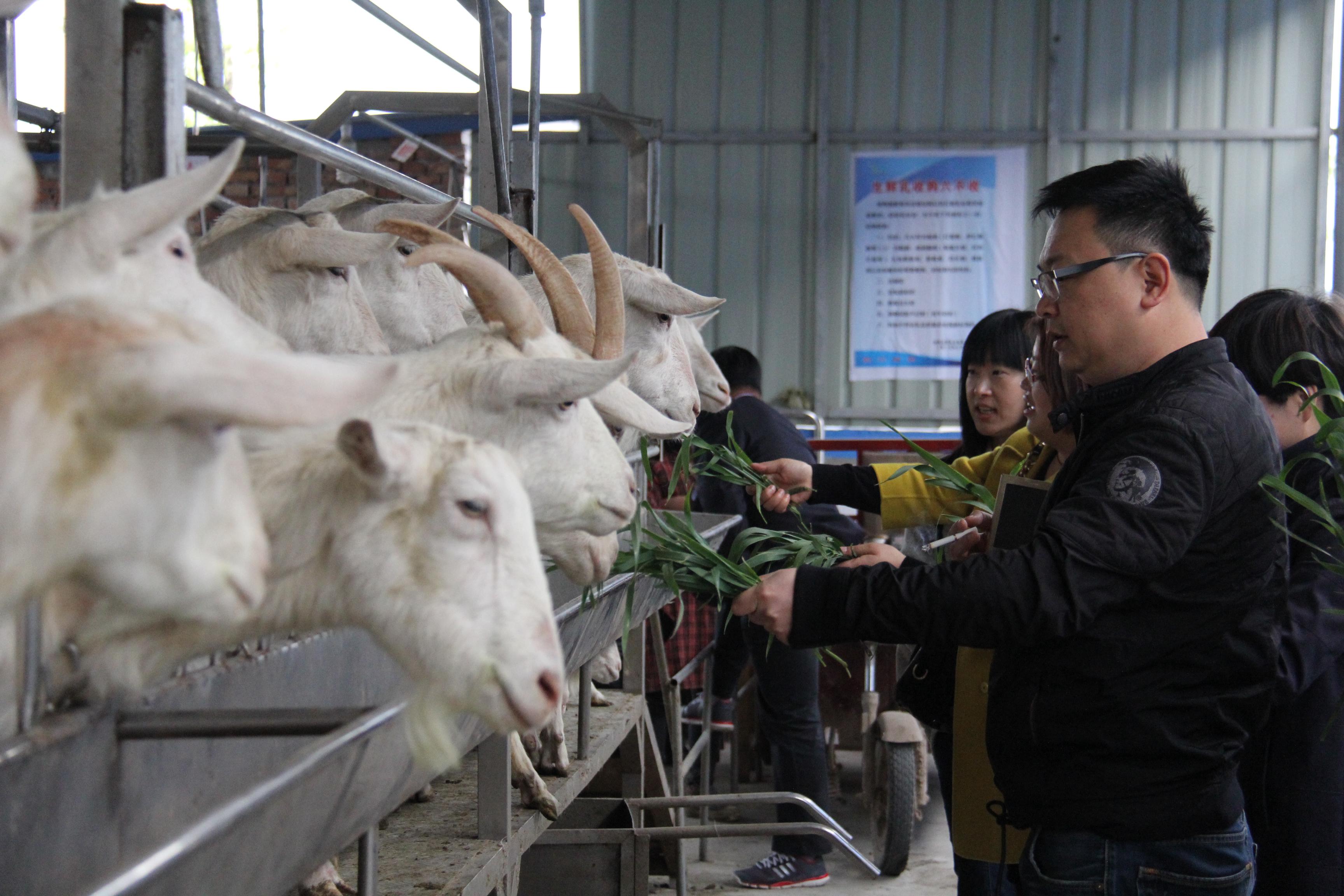 中国·7790必发集团(股份)有限公司-官方网站