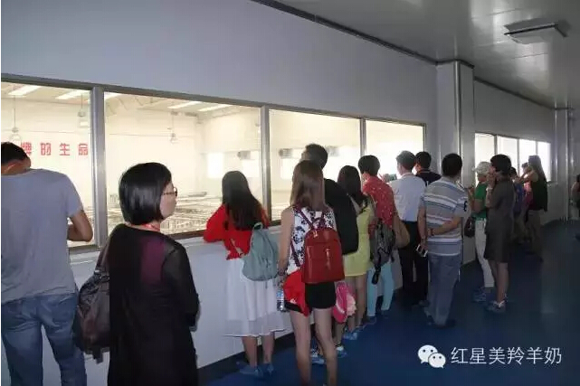 中国·7790必发集团(股份)有限公司-官方网站