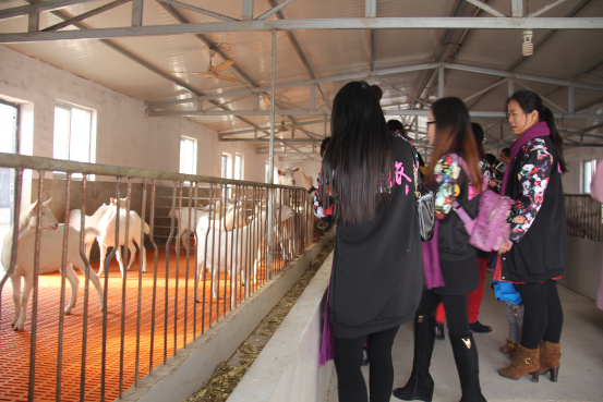 中国·7790必发集团(股份)有限公司-官方网站