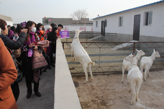 中国·7790必发集团(股份)有限公司-官方网站