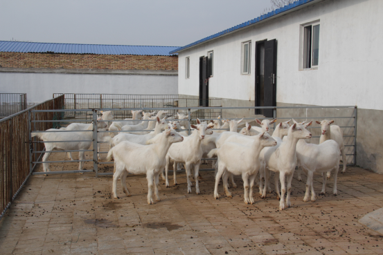 中国·7790必发集团(股份)有限公司-官方网站