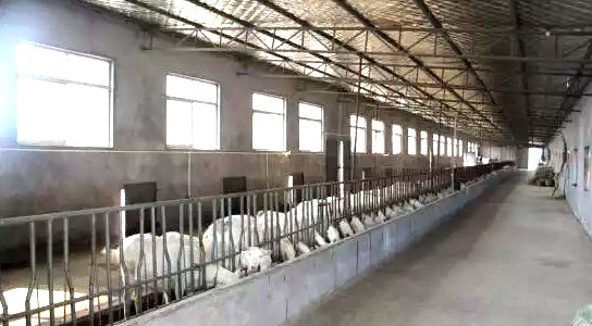 中国·7790必发集团(股份)有限公司-官方网站