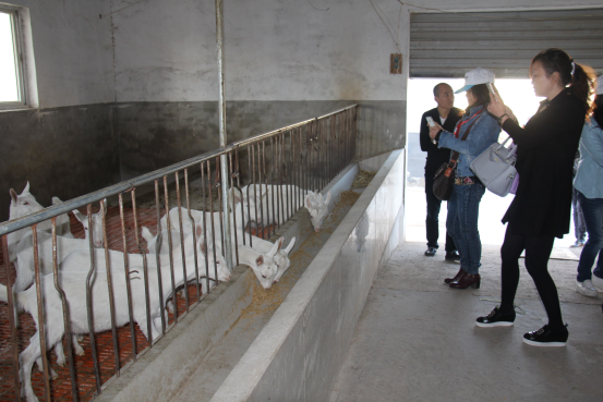 中国·7790必发集团(股份)有限公司-官方网站