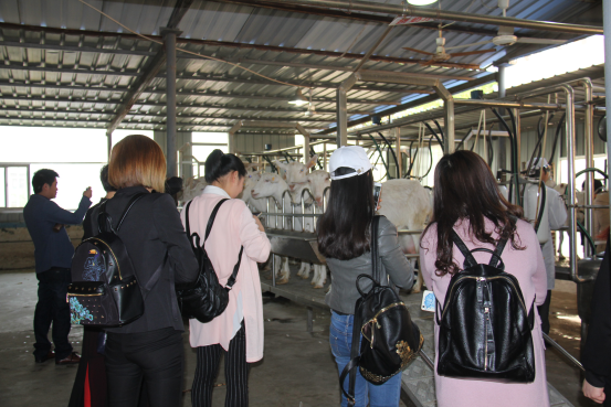 中国·7790必发集团(股份)有限公司-官方网站