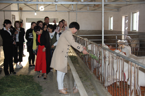 中国·7790必发集团(股份)有限公司-官方网站