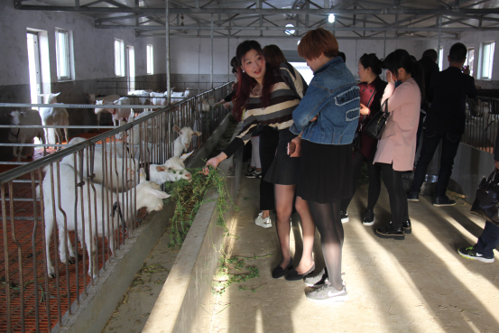 中国·7790必发集团(股份)有限公司-官方网站