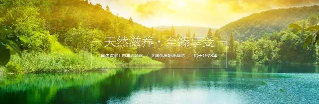 中国·7790必发集团(股份)有限公司-官方网站