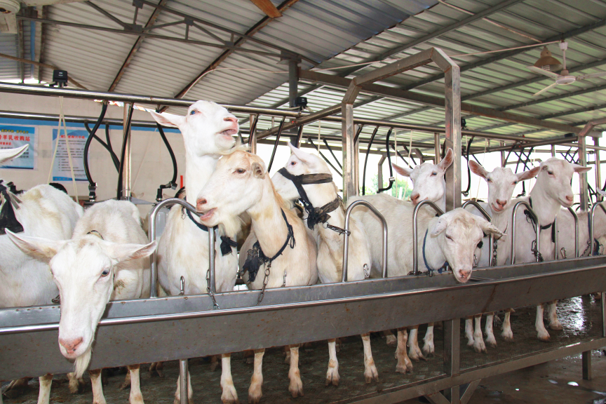 中国·7790必发集团(股份)有限公司-官方网站