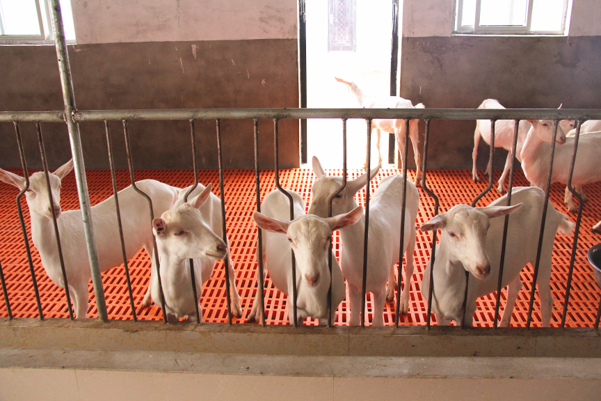 中国·7790必发集团(股份)有限公司-官方网站