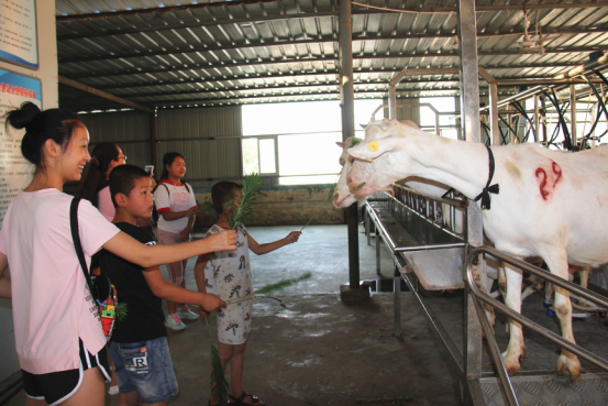 中国·7790必发集团(股份)有限公司-官方网站