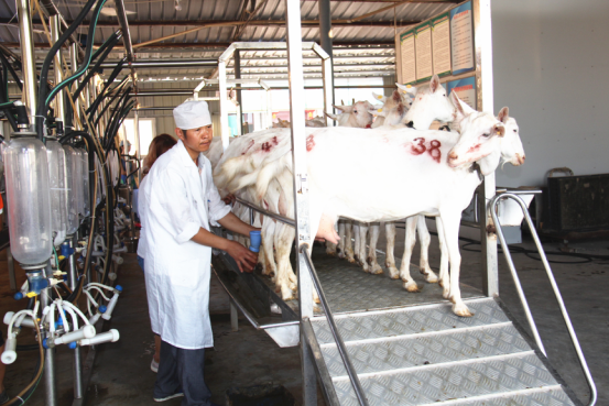 中国·7790必发集团(股份)有限公司-官方网站