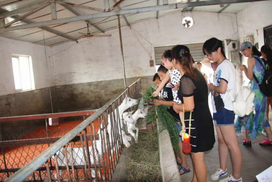 中国·7790必发集团(股份)有限公司-官方网站