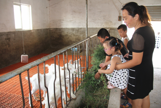 中国·7790必发集团(股份)有限公司-官方网站