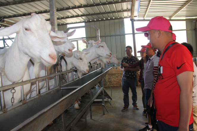 中国·7790必发集团(股份)有限公司-官方网站