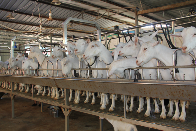 中国·7790必发集团(股份)有限公司-官方网站