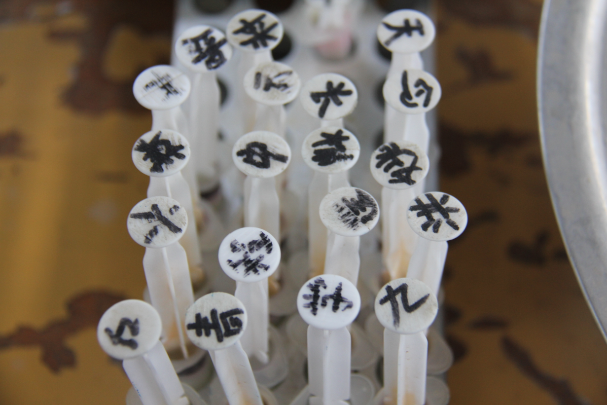 中国·7790必发集团(股份)有限公司-官方网站