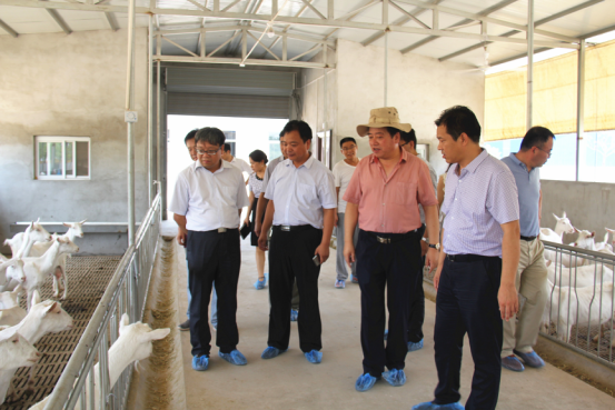 中国·7790必发集团(股份)有限公司-官方网站