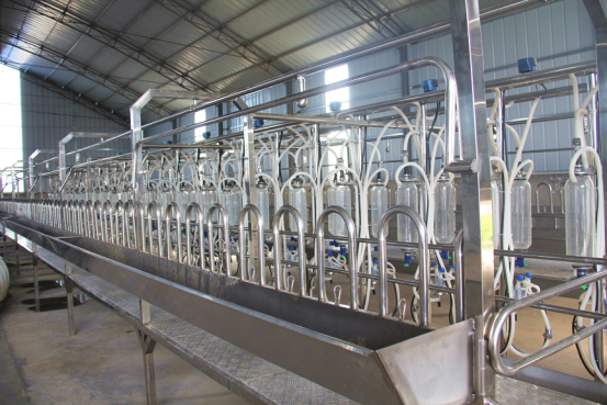 中国·7790必发集团(股份)有限公司-官方网站