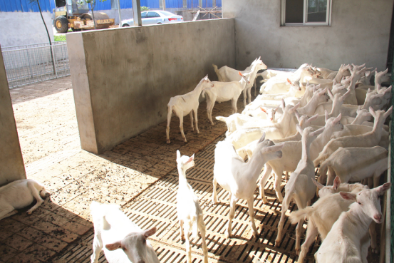 中国·7790必发集团(股份)有限公司-官方网站