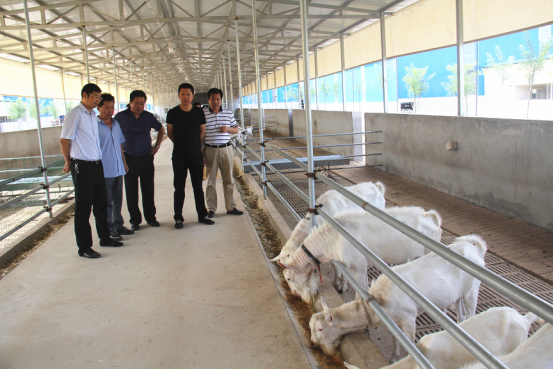 中国·7790必发集团(股份)有限公司-官方网站