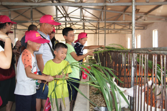 中国·7790必发集团(股份)有限公司-官方网站