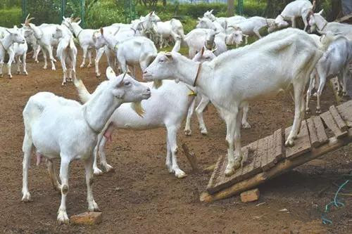 中国·7790必发集团(股份)有限公司-官方网站