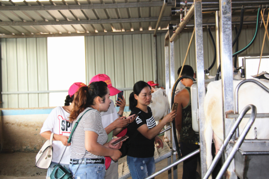 中国·7790必发集团(股份)有限公司-官方网站