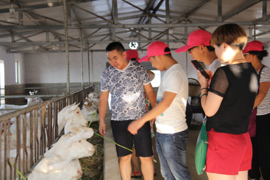 中国·7790必发集团(股份)有限公司-官方网站