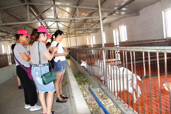 中国·7790必发集团(股份)有限公司-官方网站