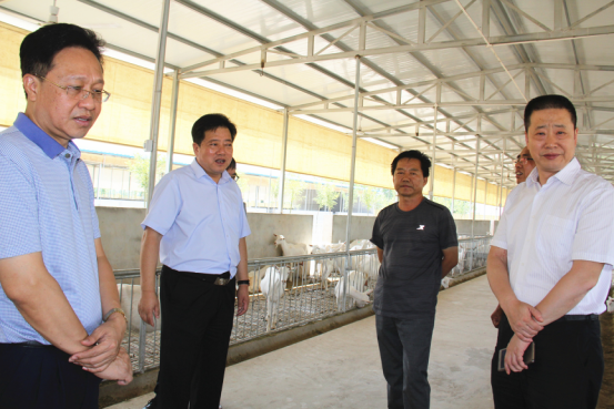 中国·7790必发集团(股份)有限公司-官方网站