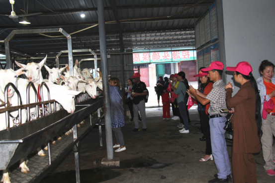 中国·7790必发集团(股份)有限公司-官方网站