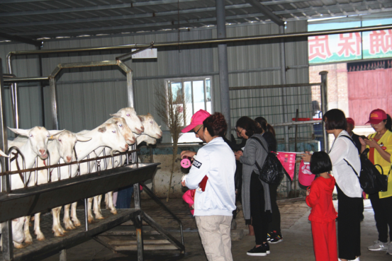 中国·7790必发集团(股份)有限公司-官方网站