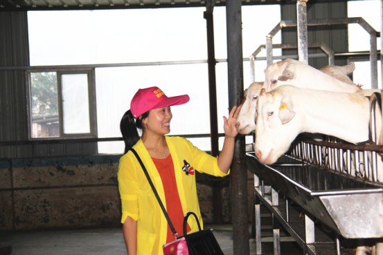 中国·7790必发集团(股份)有限公司-官方网站