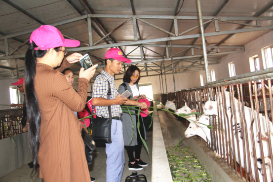 中国·7790必发集团(股份)有限公司-官方网站