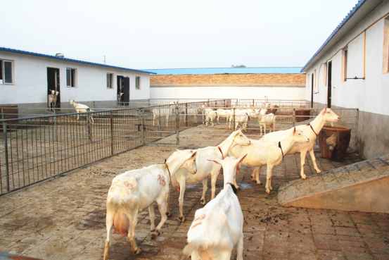 中国·7790必发集团(股份)有限公司-官方网站