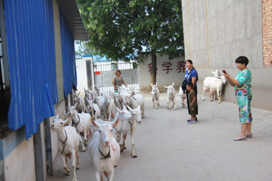 中国·7790必发集团(股份)有限公司-官方网站