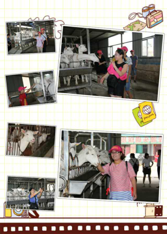 中国·7790必发集团(股份)有限公司-官方网站