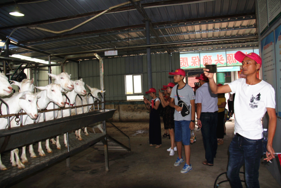 中国·7790必发集团(股份)有限公司-官方网站