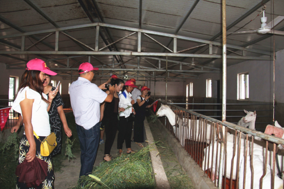 中国·7790必发集团(股份)有限公司-官方网站