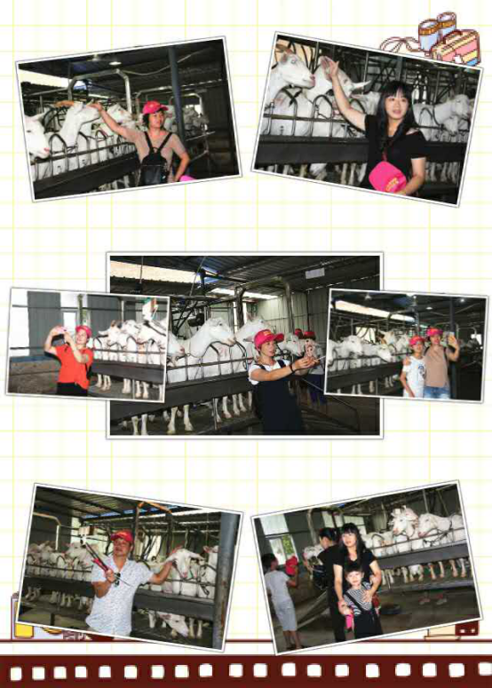 中国·7790必发集团(股份)有限公司-官方网站