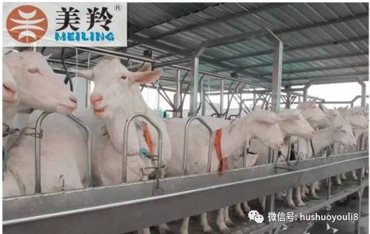 中国·7790必发集团(股份)有限公司-官方网站