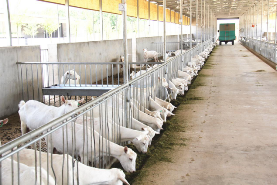 中国·7790必发集团(股份)有限公司-官方网站